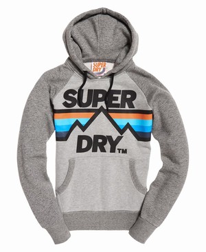 Superdry Downhill Racer Férfi Kapucnis Pulóver Szürke | PQNRD2593